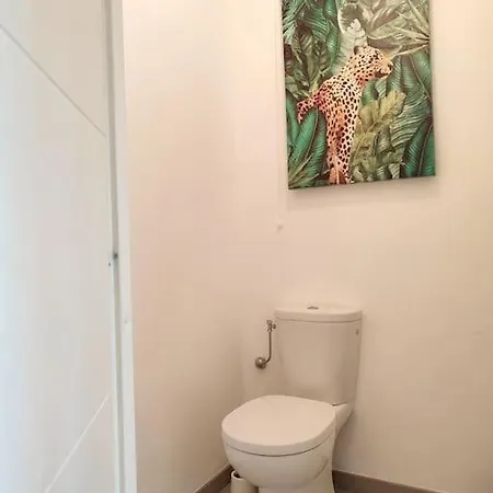 Neuf Piscine Appartement *